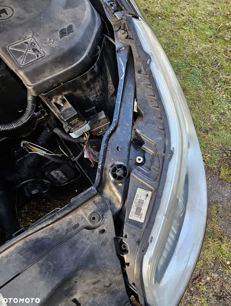Lampa przednia / przód prawa lewa / Citroen C4 - 4