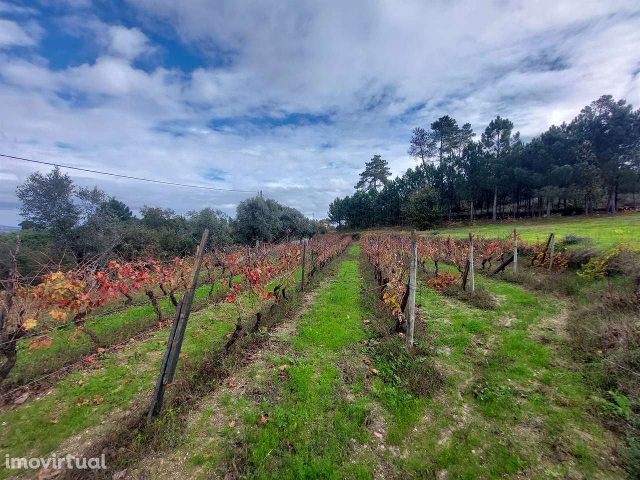 Terreno Rústico  Venda em Vila Nova de Tazem,Gouveia - Grande imagem: 2/11