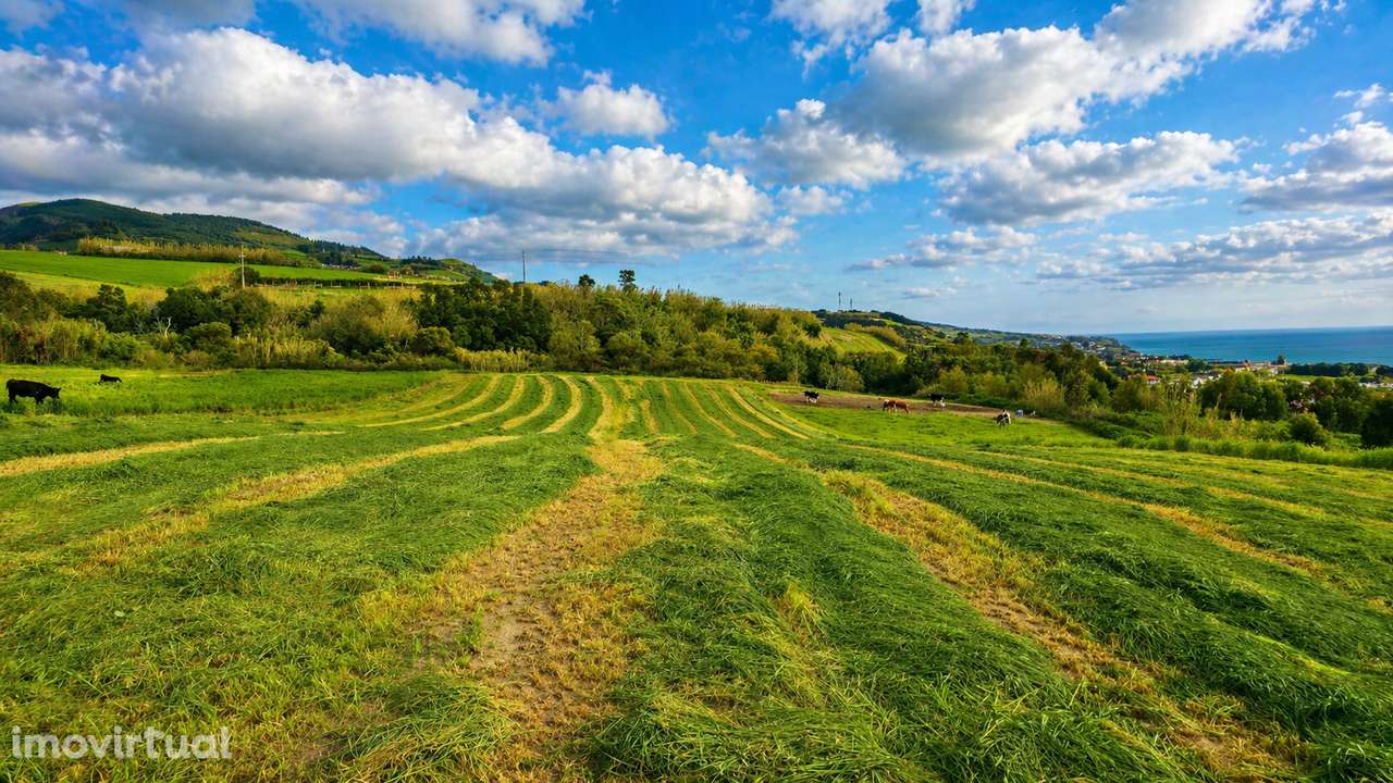 Terreno Rústico / Rustic Land com Potencial para Agroturismo - Grande imagem: 2/4