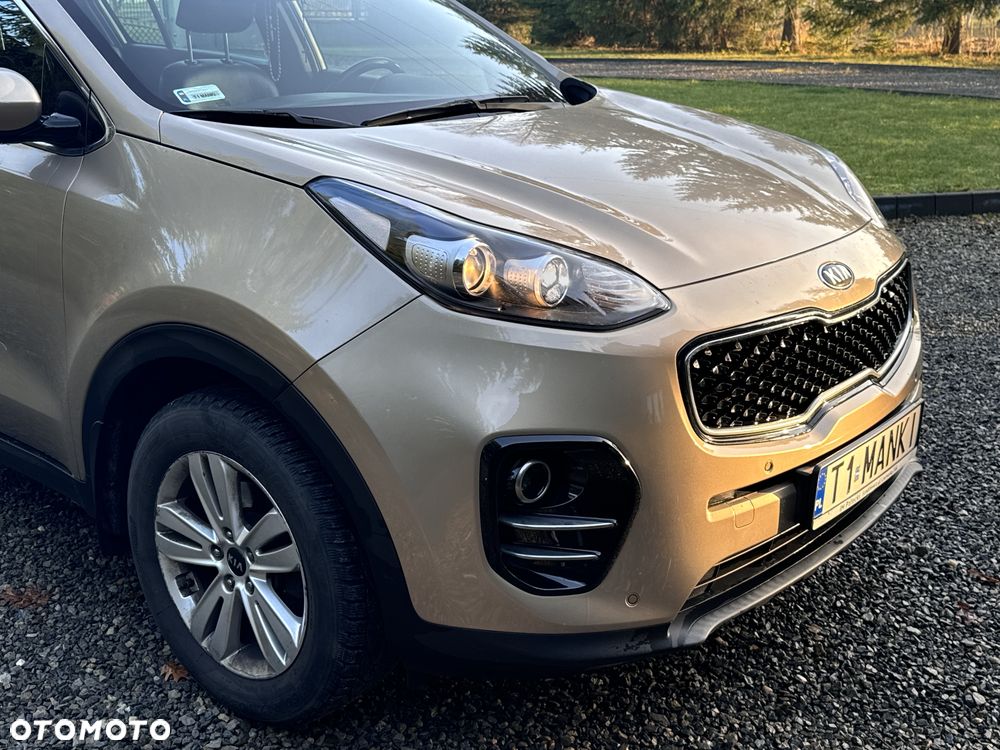 Kia Sportage 1.6 GDI L Business Line Plus 2WD - 19