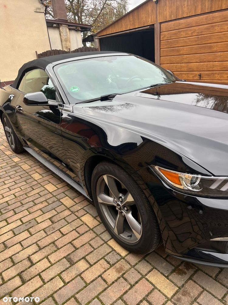 Ford Mustang 5.0 Ti-VCT V8 Black Shadow Edition - 25