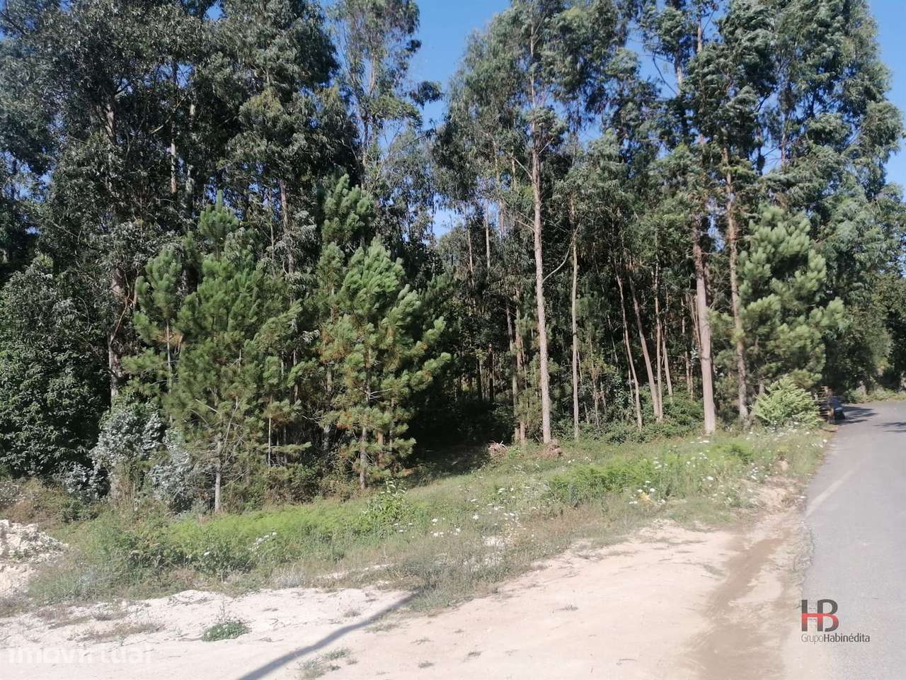 Lote de Terreno  Venda em Santa Maria da Feira, Travanca, Sanfins e Es - Grande imagem: 2/4