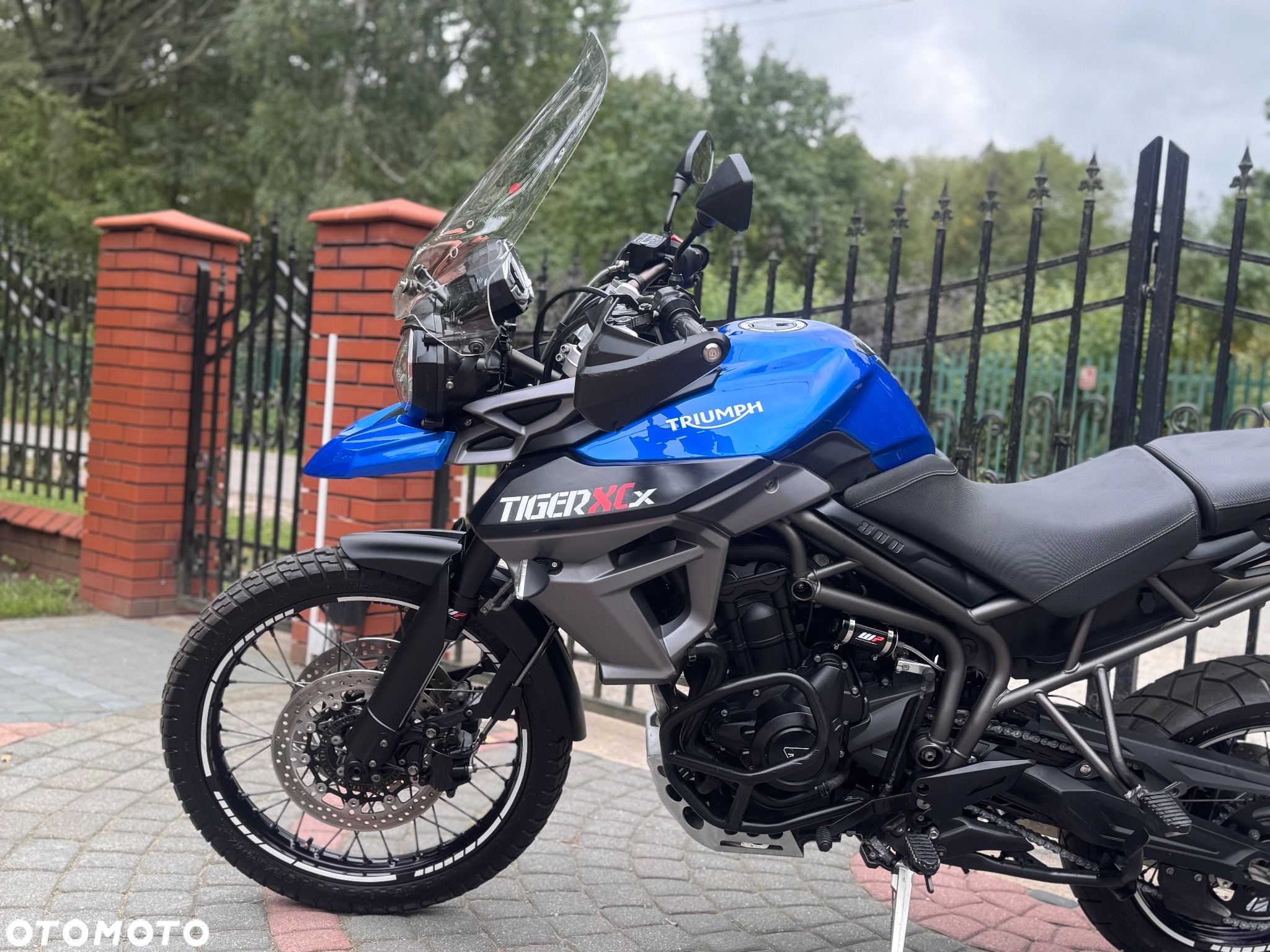 Triumph Tiger - 19