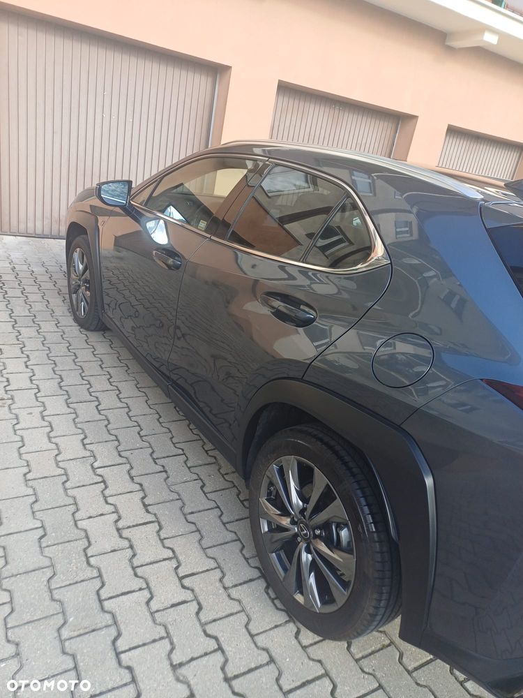 Lexus UX 250h GPF F Sport 2WD - 6