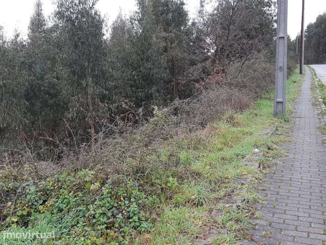 Terreno em Rio de Moinhos Penafiel - Grande imagem: 5/6