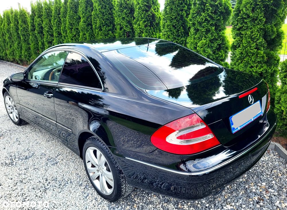 Mercedes-Benz Clk 2003 photo 5
