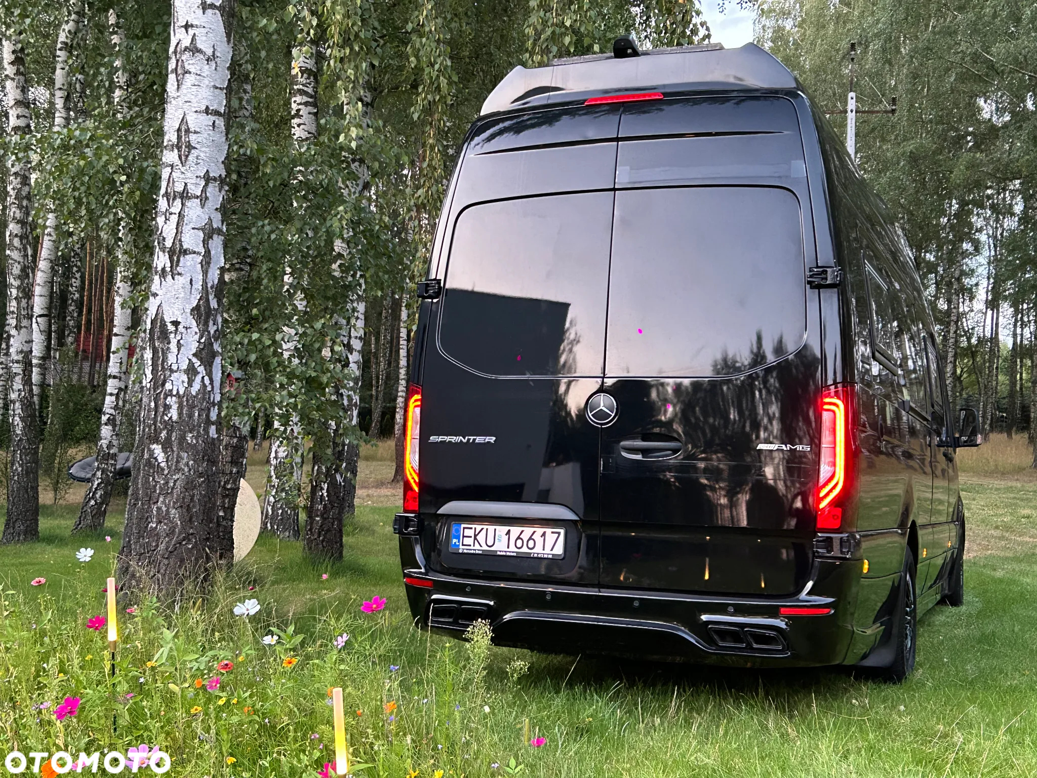 Mercedes-Benz SPRINTER 319 - 6