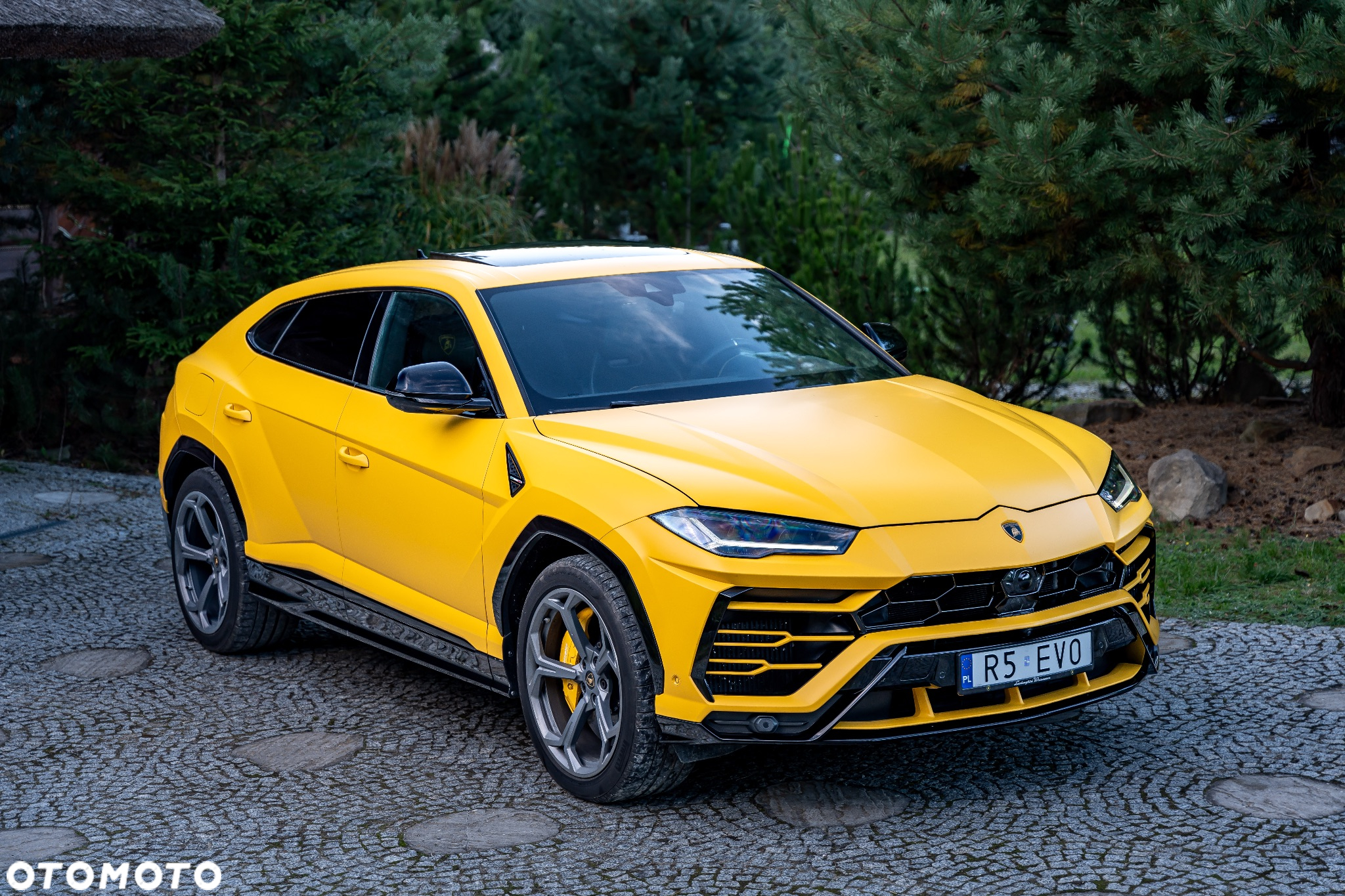 Lamborghini Urus Standard - 11