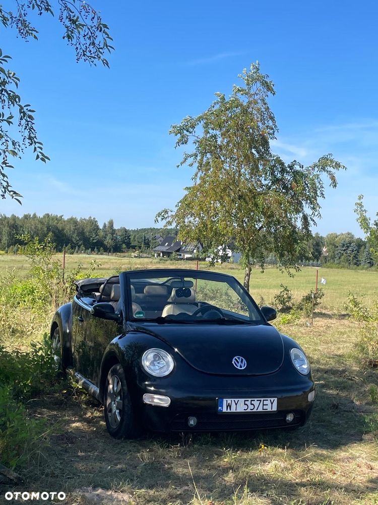 Volkswagen New Beetle - 6