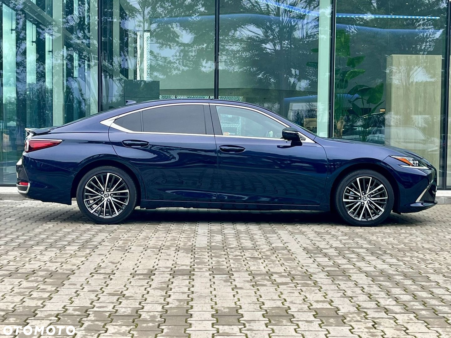 Lexus ES 300h Business Edition - 4