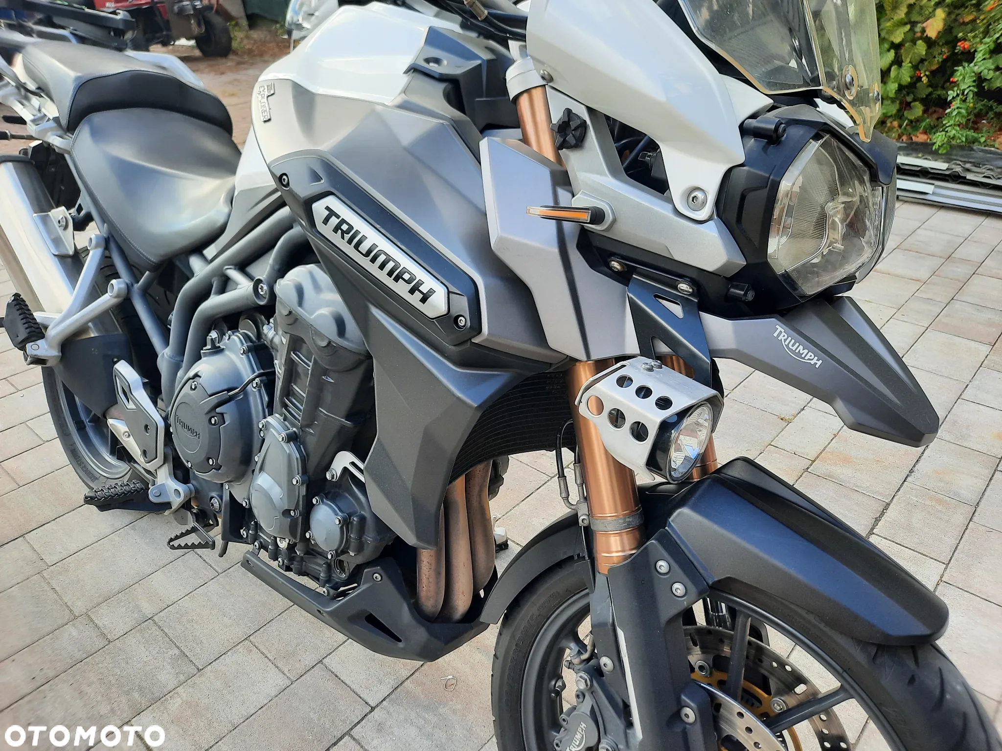 Triumph Tiger