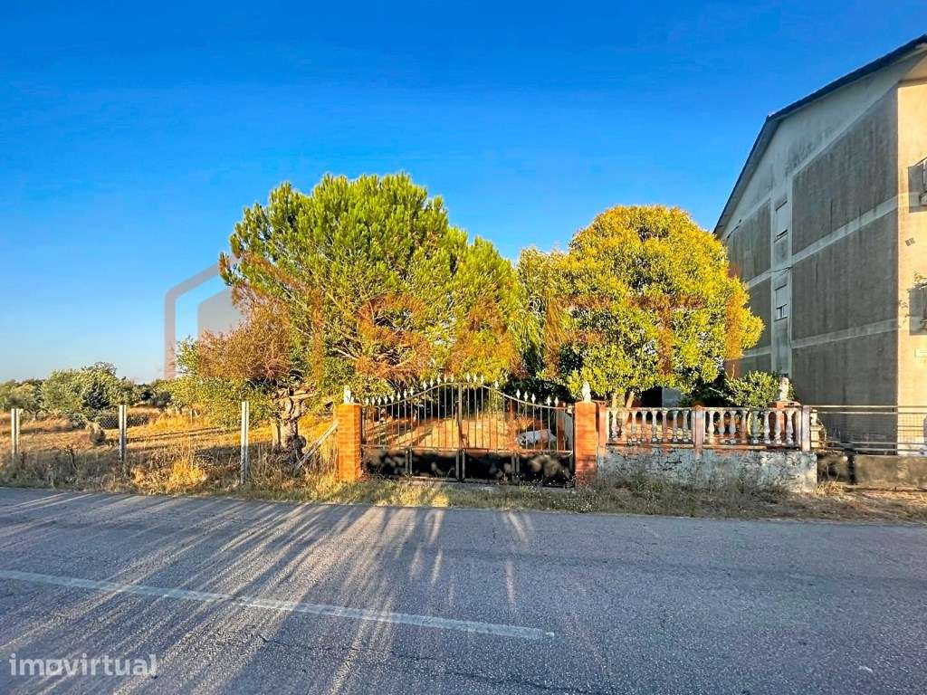Moradia Bi-Familiar com garagem e terreno agrícola em Delongo, Paia... - Grande imagem: 4/47