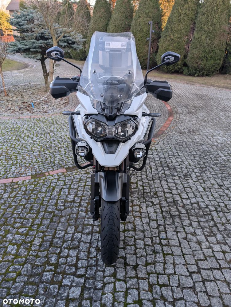 Triumph Tiger - 16