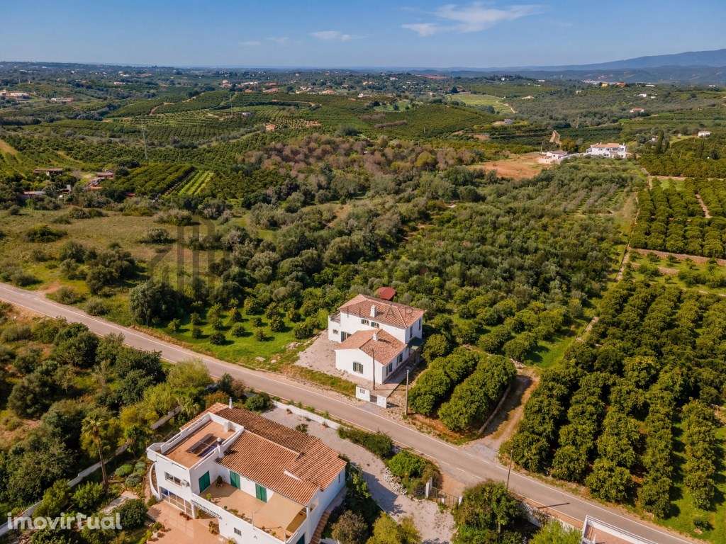 Moradia T3 com Pomar de citrinos no concelho de Silves - Grande imagem: 5/36