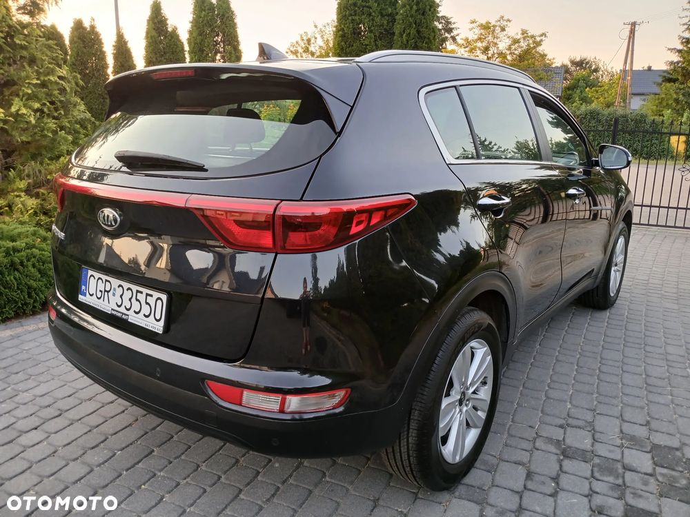 Kia Sportage - 14