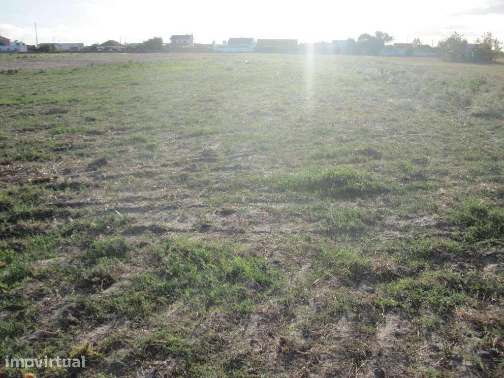 Terreno Rustico - Inserido em Area Urbanizável Mista - Grande imagem: 2/3