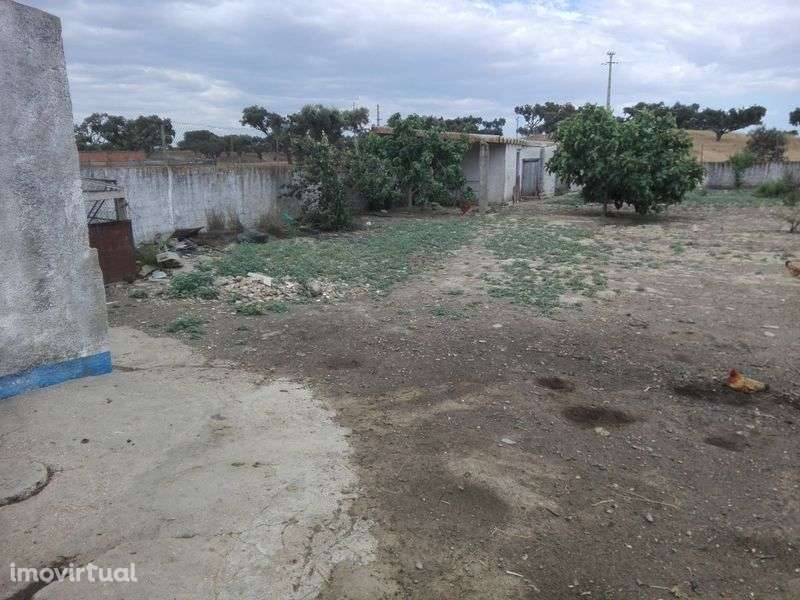 Quinta Ourique  aluguer - Grande imagem: 5/12