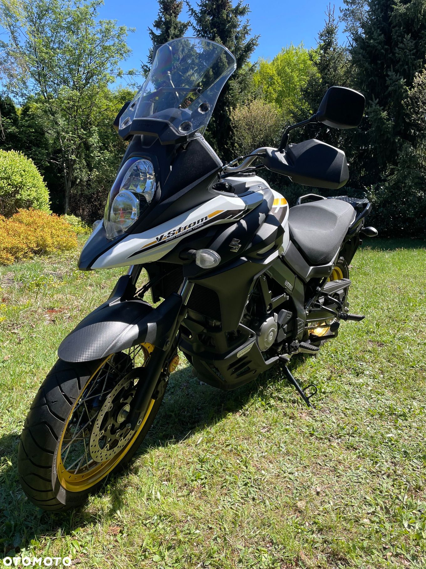 Suzuki DL