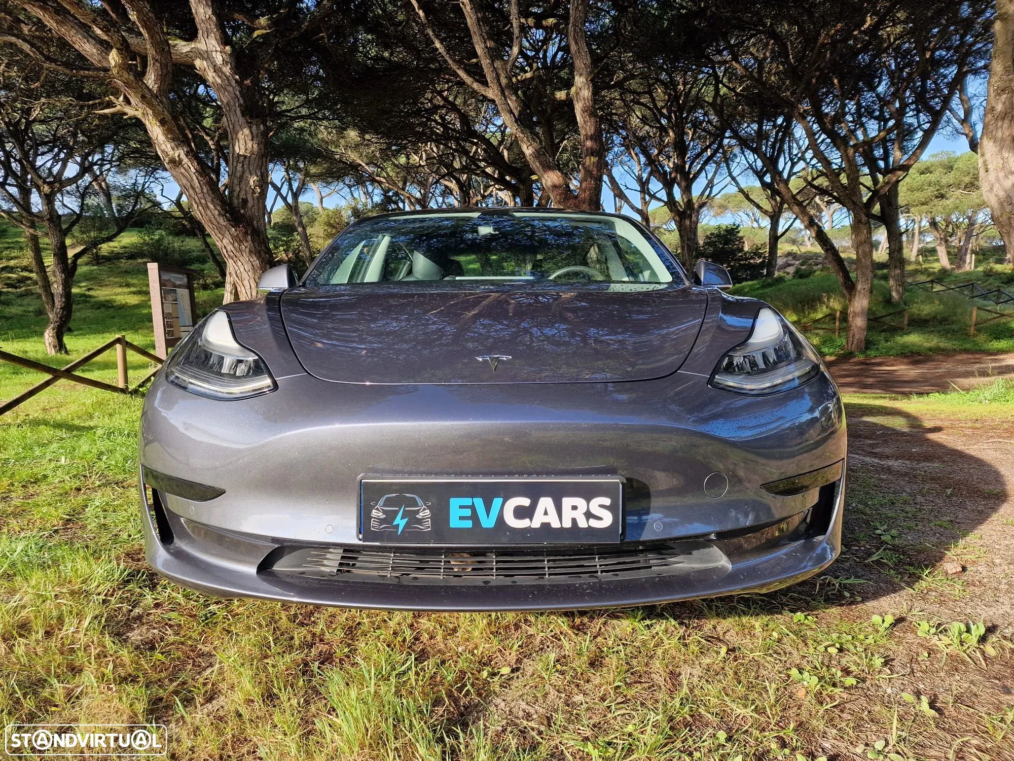 Tesla Model 3 Standard Range Plus RWD - 1
