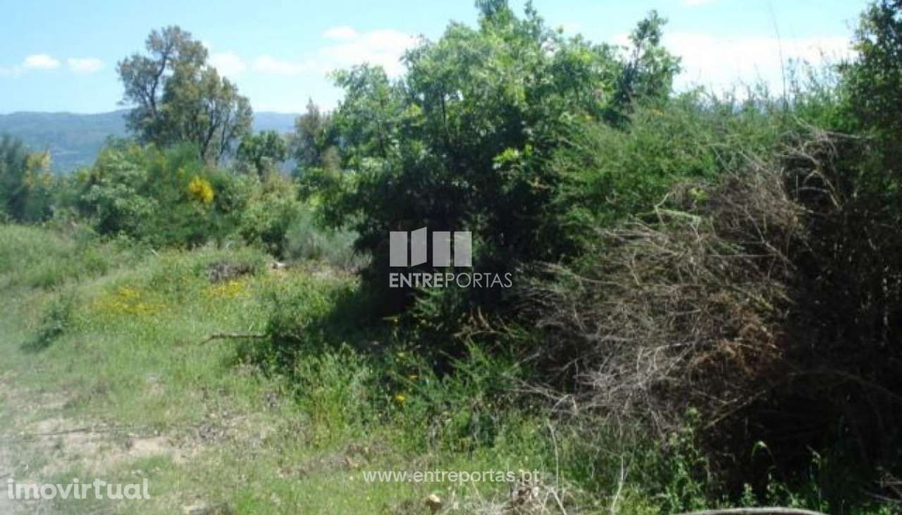 Venda Terreno, junto à estrada, Santa Cruz do Douro, Baião - Grande imagem: 2/8