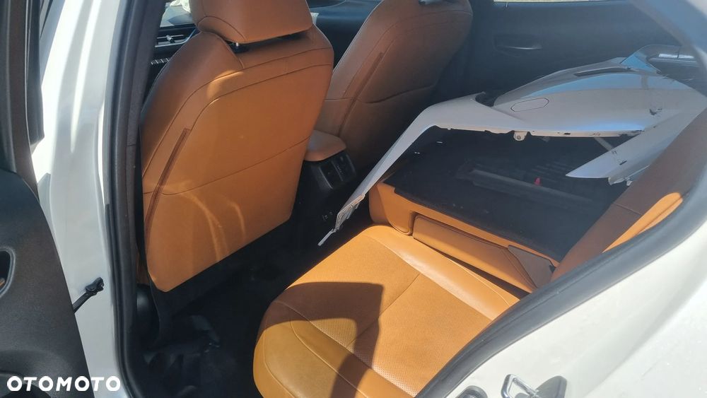 Lexus UX 250h F SPORT - 21
