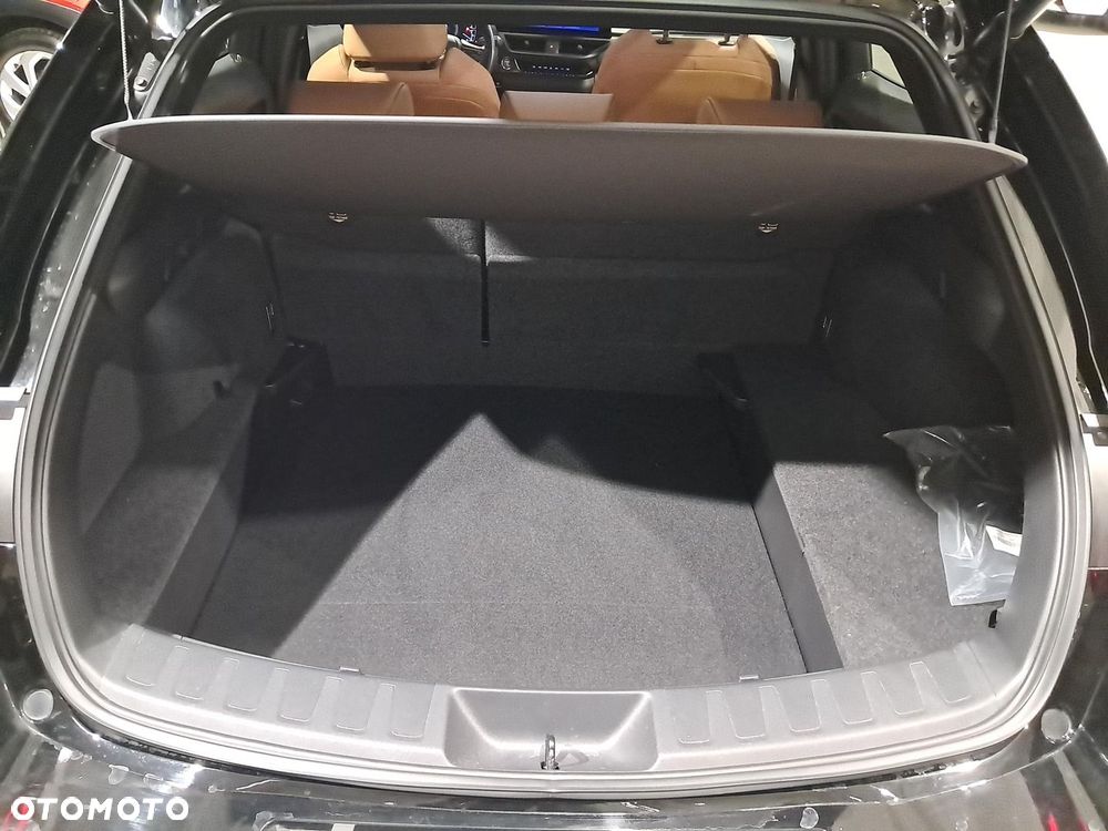 Lexus UX 250h GPF F Sport Design 2WD - 11