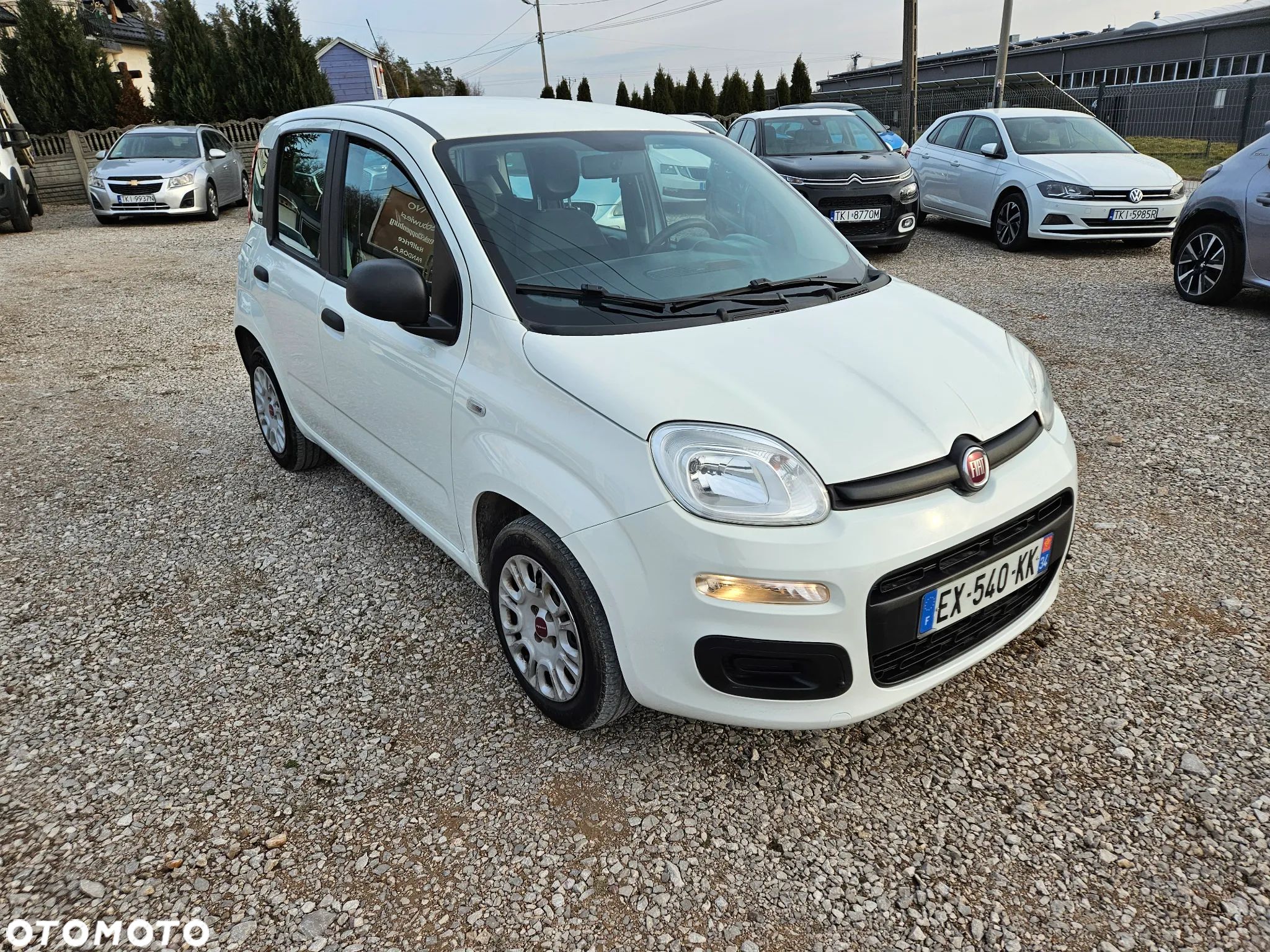 Fiat Panda - 1