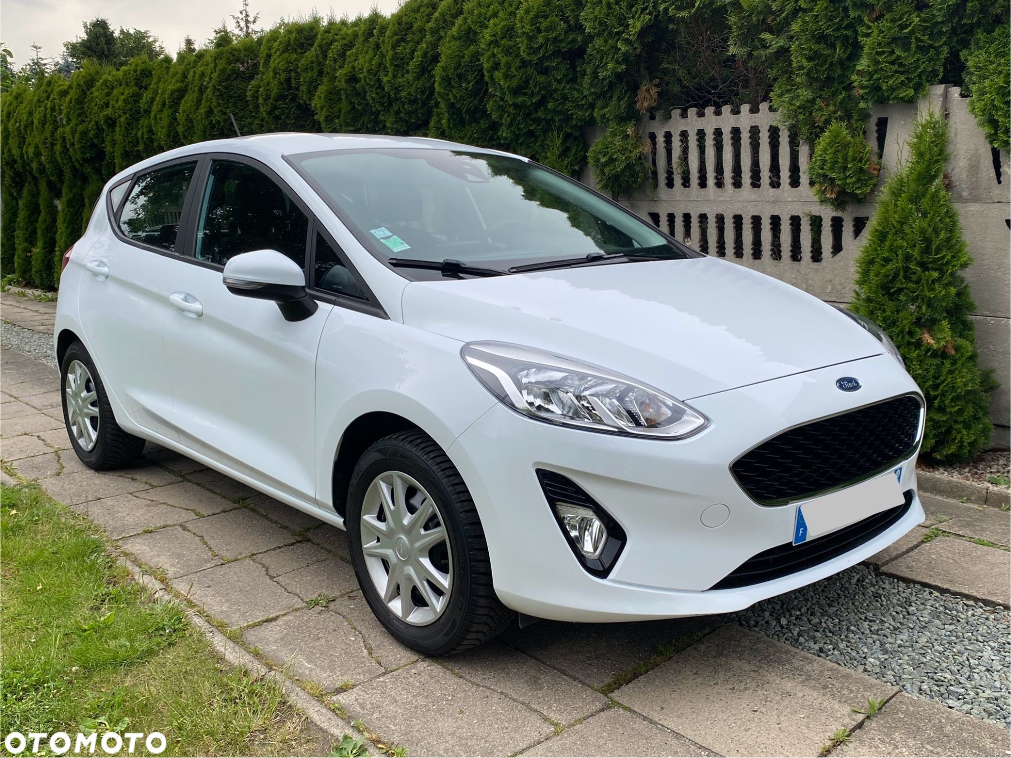 Ford Fiesta - 1