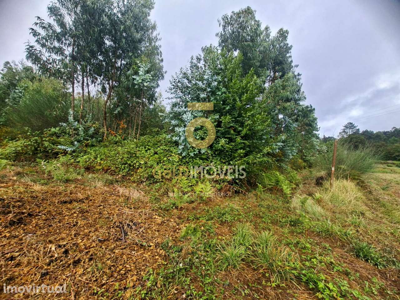 Terreno Para Construção  Venda em Sanguedo,Santa Maria da Feira - Grande imagem: 2/5