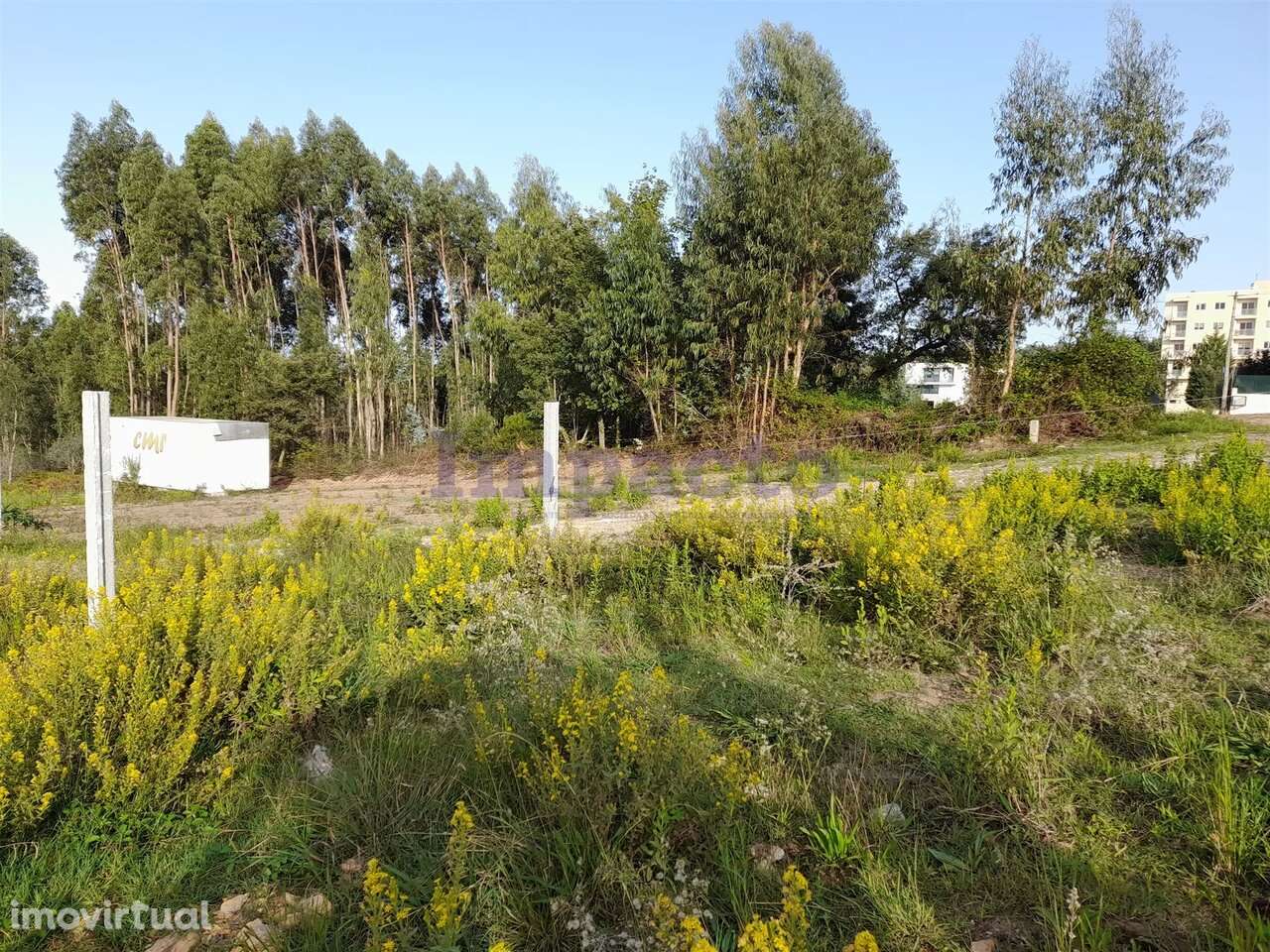 Terreno, Aveiro, Santa Maria da Feira - Grande imagem: 4/5