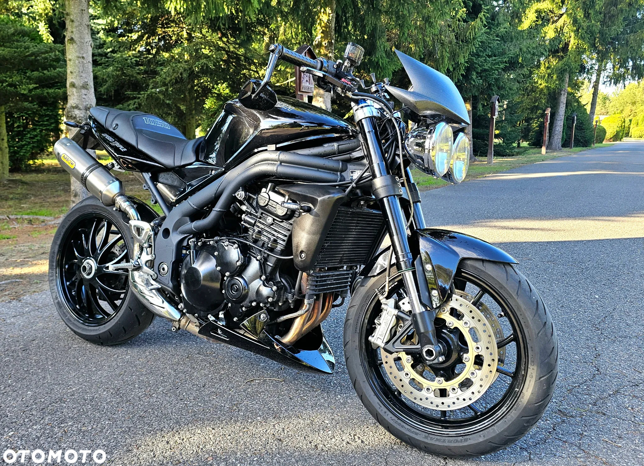 Triumph Speed Triple - 5
