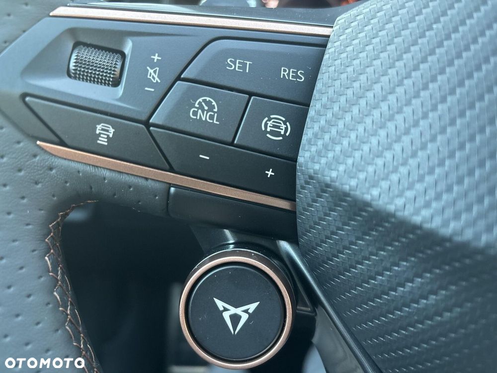 Cupra Formentor 2.0 TSI 4Drive DSG - 24