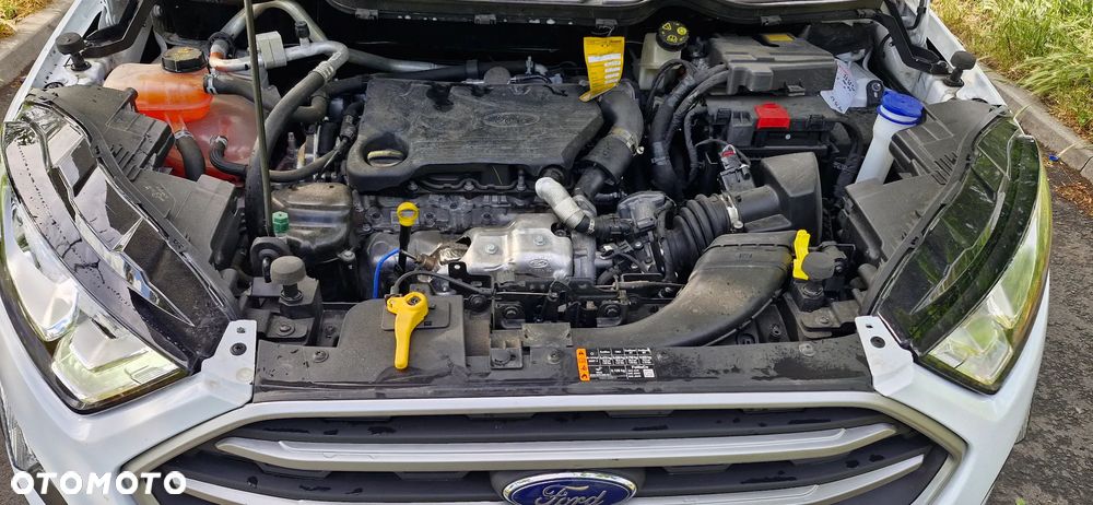 Ford EcoSport 1.5 EcoBlue Connected ASS - 24