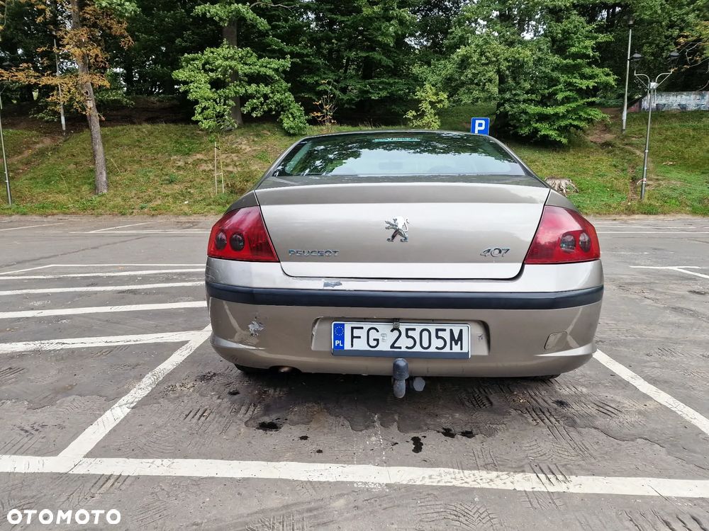 Peugeot 407 - 5