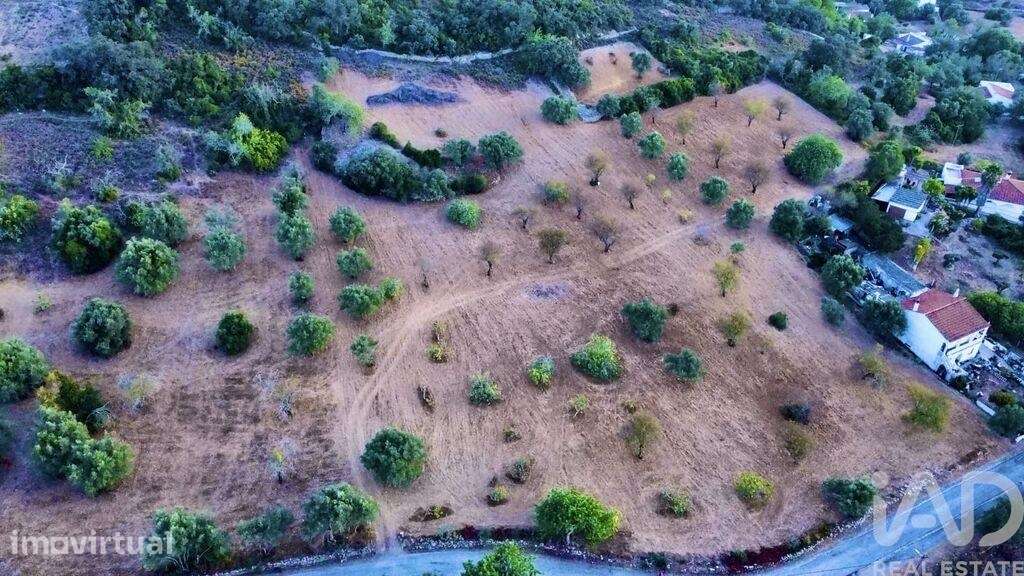 Terreno Agrícola em Santa Bárbara de Nexe de 14400,00 m2 - Grande imagem: 4/10