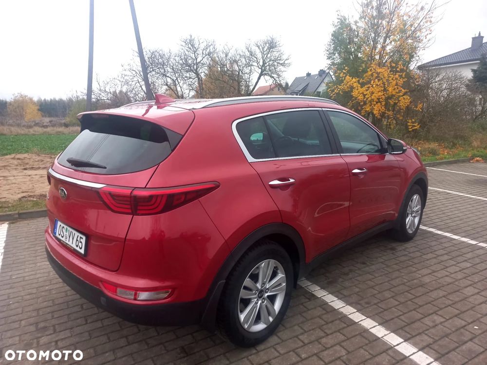 Kia Sportage ver-1-6-gdi-l-business-line-2wd - 14