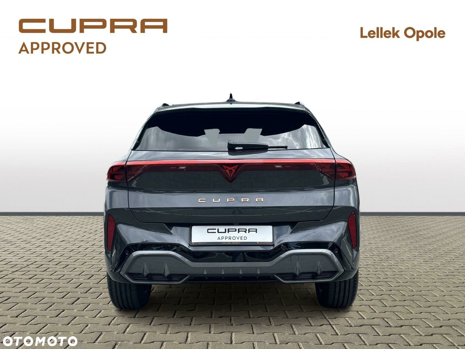 Cupra Terramar - 4