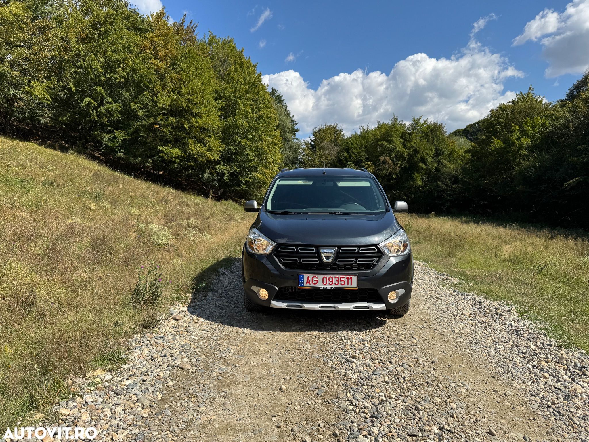 Dacia Lodgy 1.5 dCi 109 CP Stepway - 1