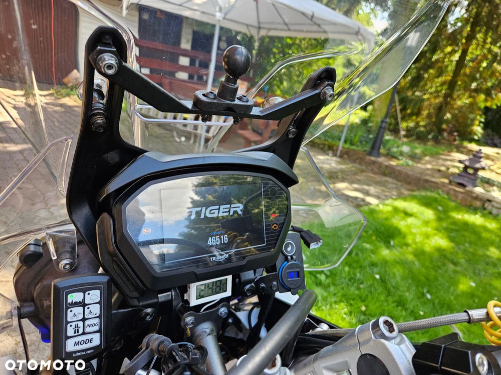 Triumph Tiger - 8