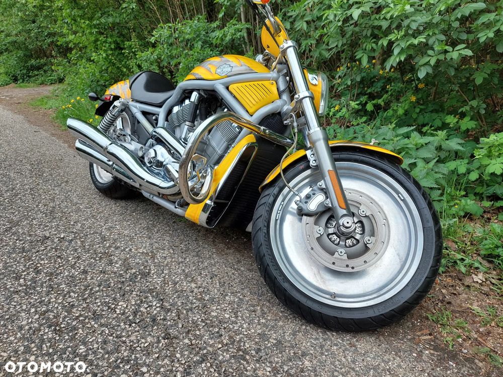 Harley-Davidson V-Rod Muscle - 16