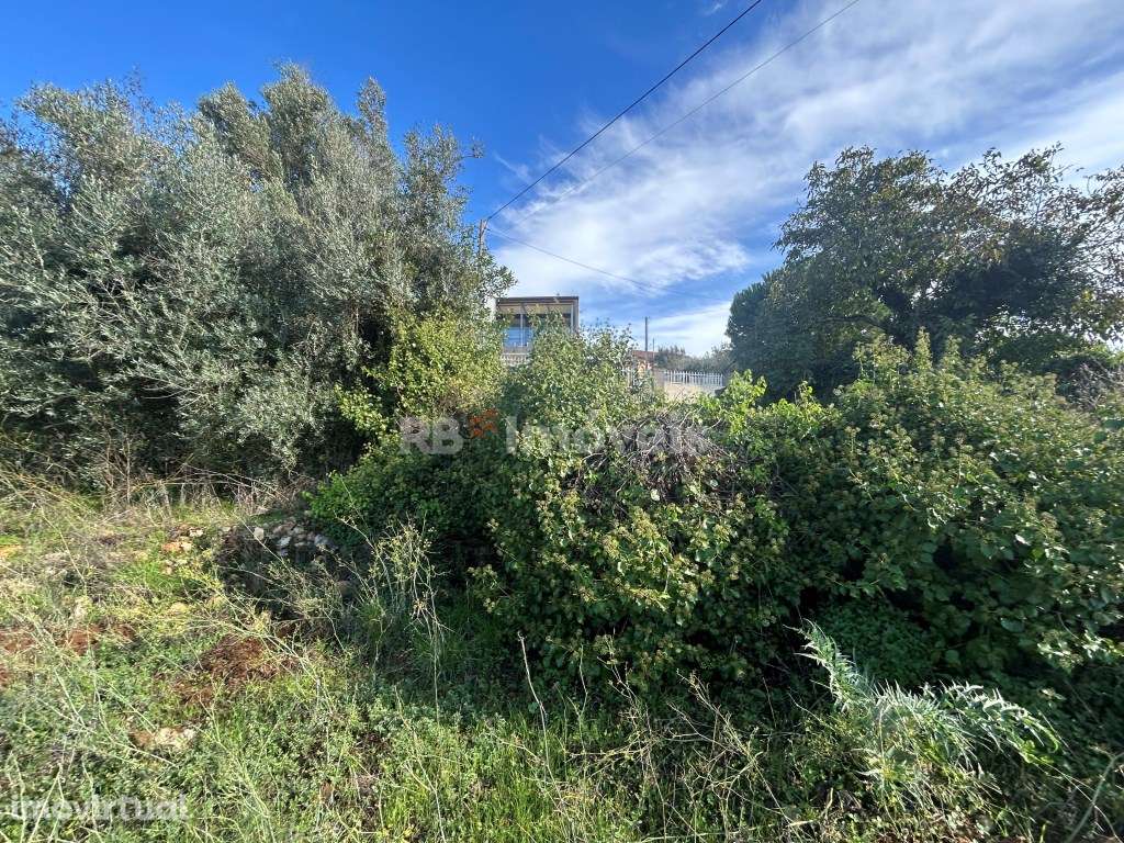 2 Terrenos rústicos c/ PDM urbano - Carvalhal da Póvoa, Tomar - Grande imagem: 4/24