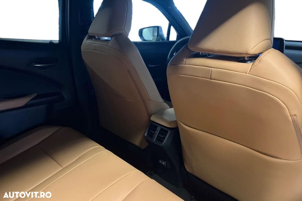 Lexus UX 300h (E-FOUR) F SPORT - 17