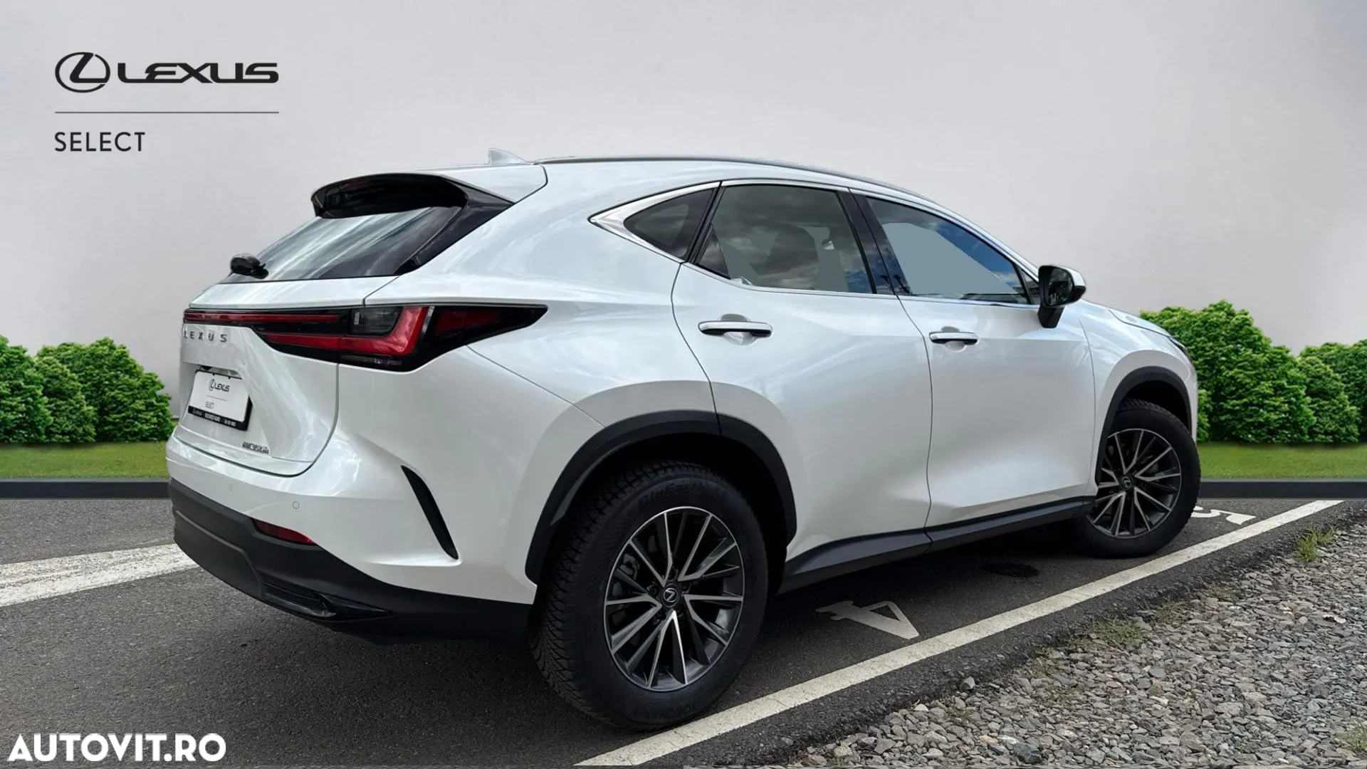 Lexus Seria NX 350h AWD CVT HEV Business - 19