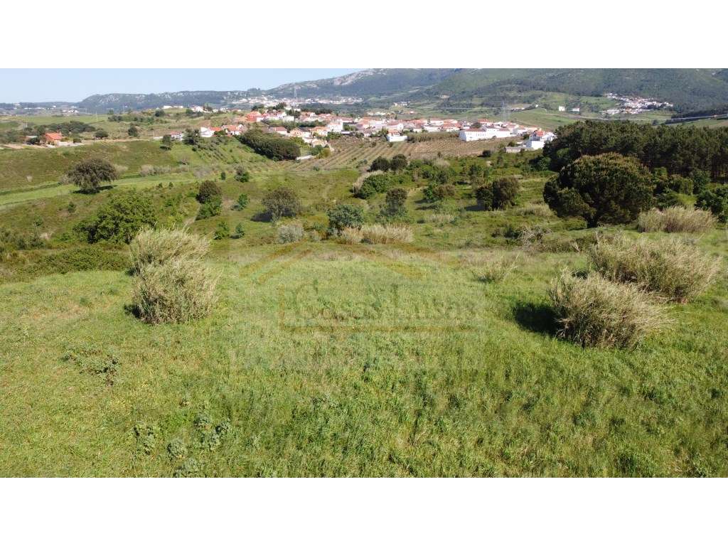 Conjunto de Terrenos Rustico - Grande imagem: 4/17