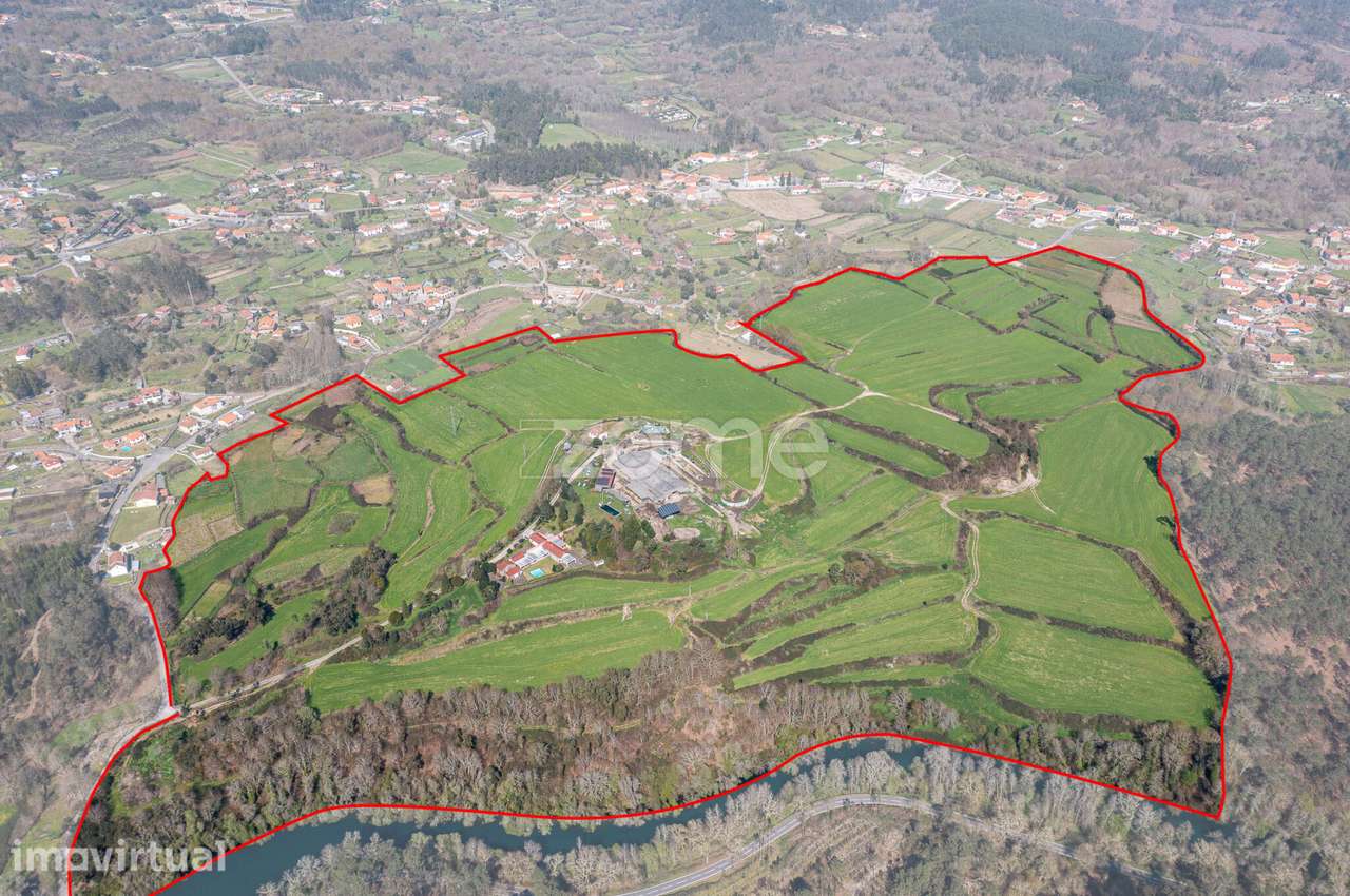 Quinta de Santa Luzia com 28ha no Minho para Venda - Grande imagem: 3/56