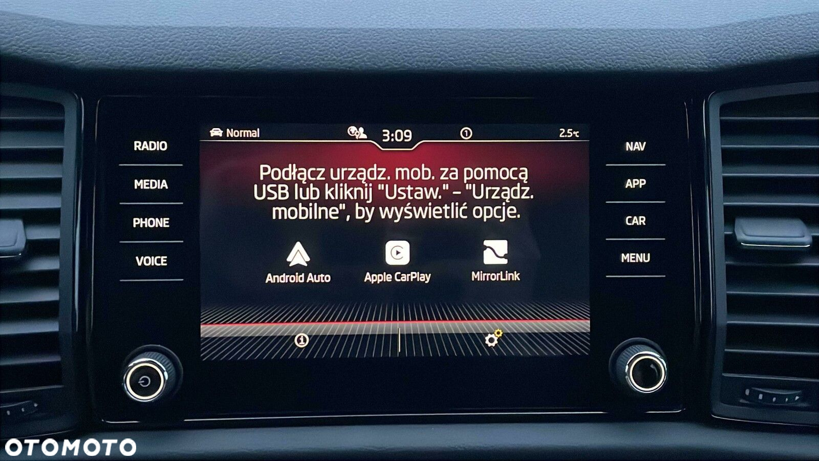 Skoda Kodiaq 2.0 Bi-TDI 4x4 RS DSG - 19
