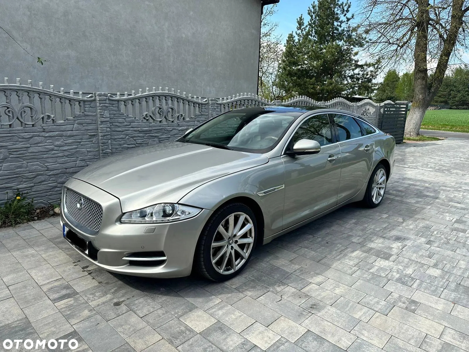 Jaguar XJ - 12