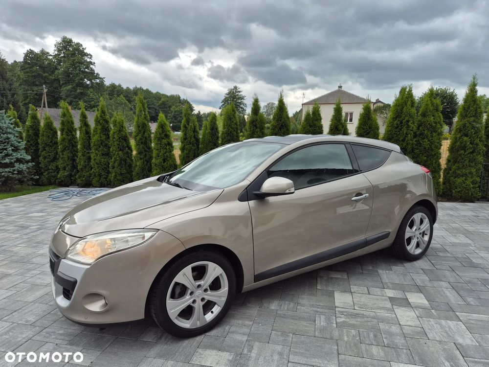 Renault Megane - 31