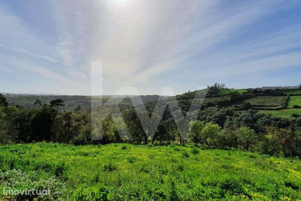 Terreno de 740m2 com Projeto Aprovado para Moradia T4 com piscina em M - Grande imagem: 4/13