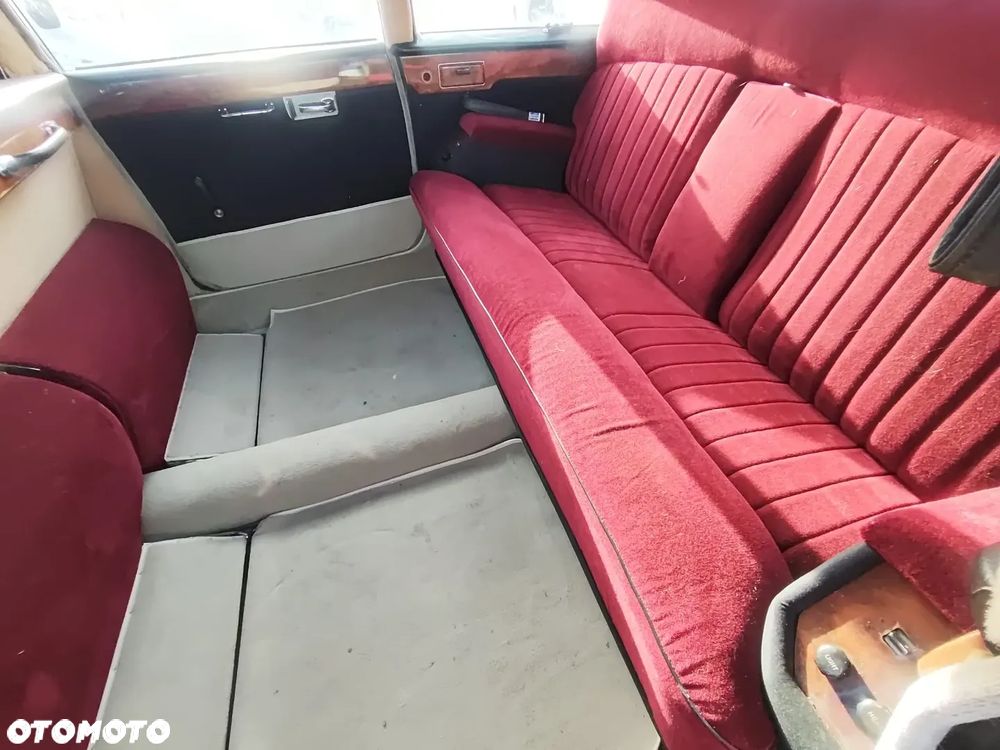 Jaguar Inny - 9